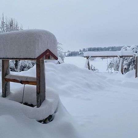 Trollenhof Im Allgaeu - Ferienwohnungen Saeuling Ruckholz ภายนอก รูปภาพ