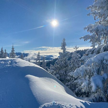 Trollenhof Im Allgaeu - Ferienwohnungen Saeuling Ruckholz ภายนอก รูปภาพ
