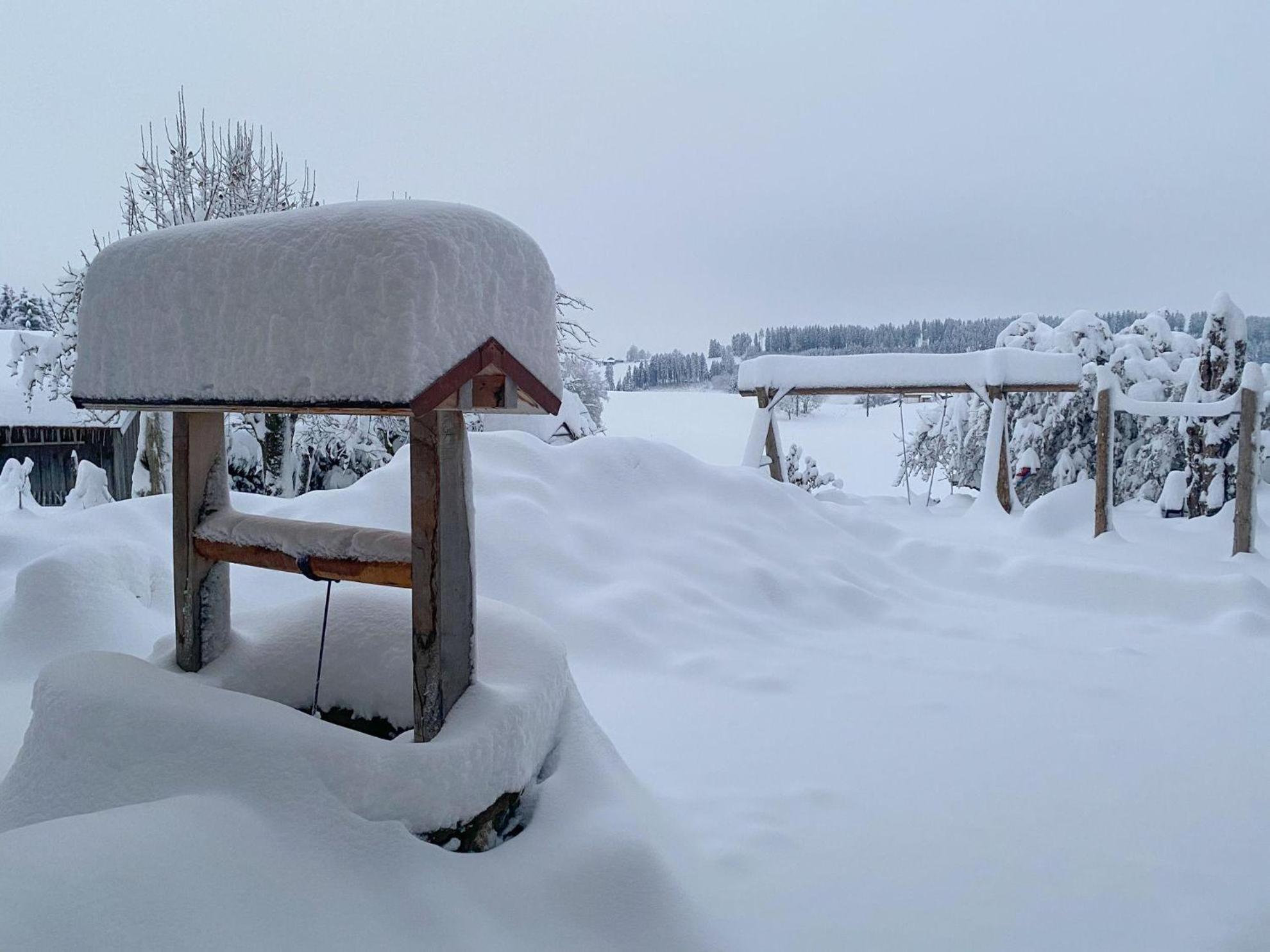 Trollenhof Im Allgaeu - Ferienwohnungen Saeuling Ruckholz ภายนอก รูปภาพ