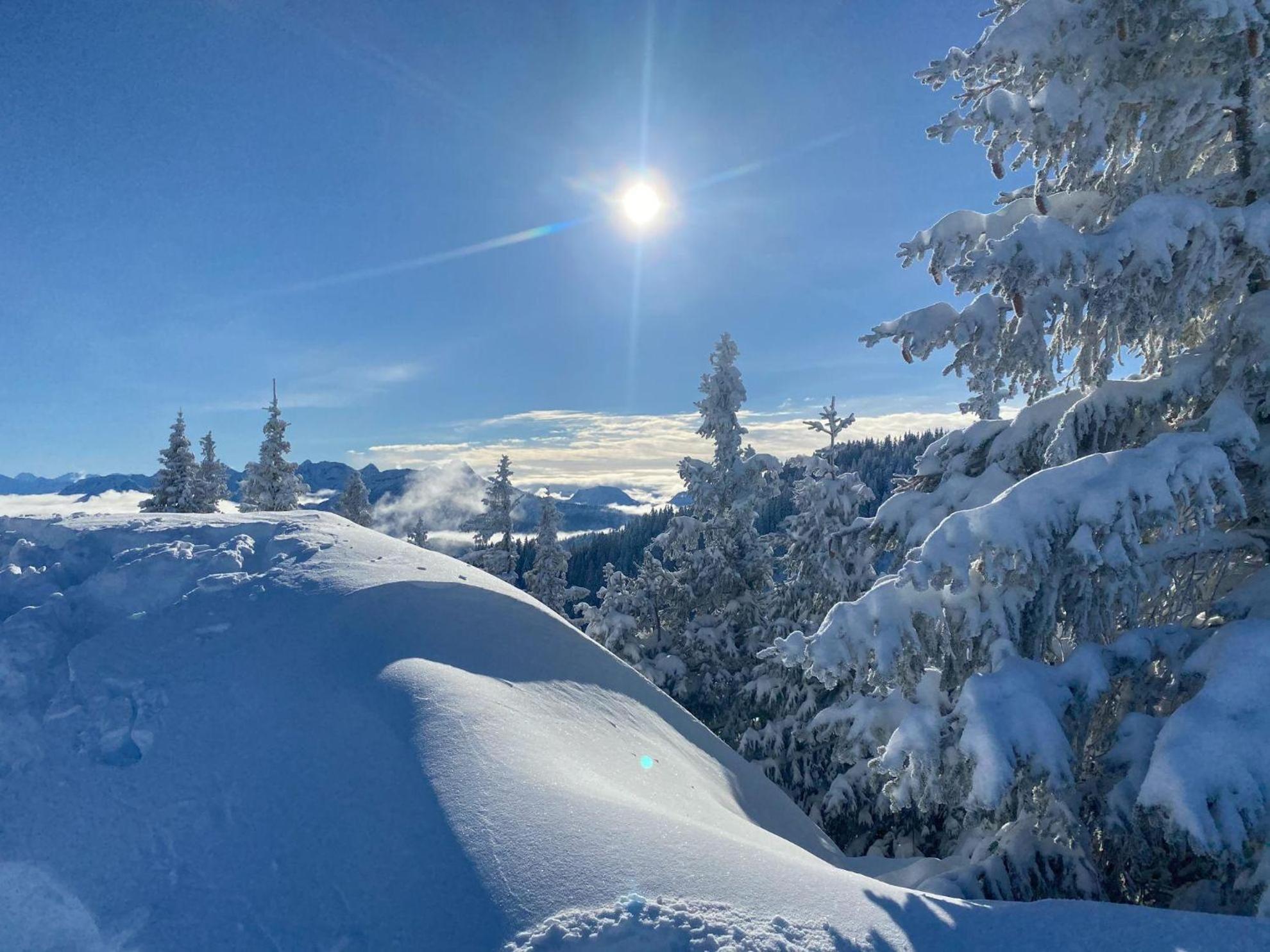 Trollenhof Im Allgaeu - Ferienwohnungen Saeuling Ruckholz ภายนอก รูปภาพ