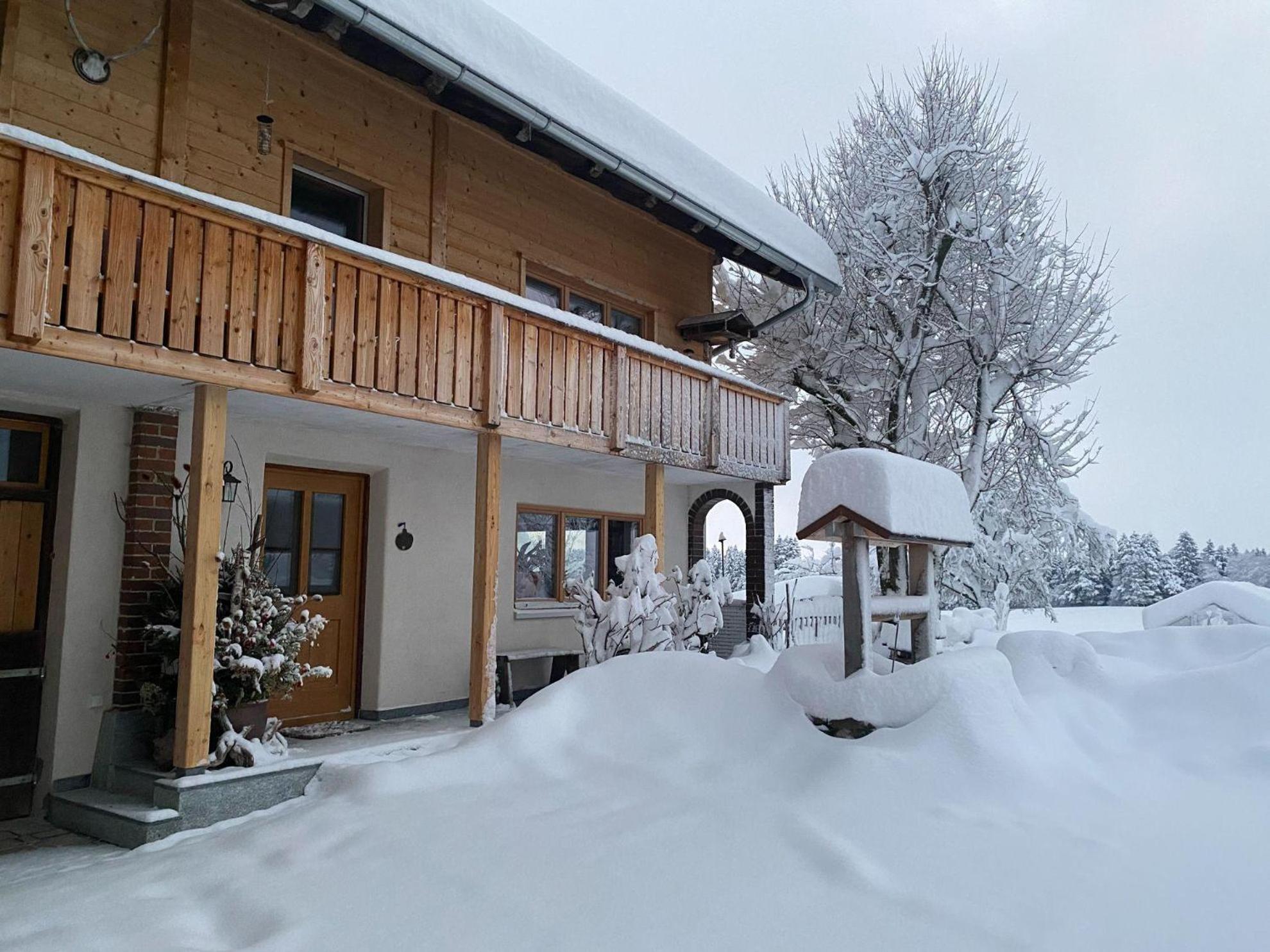 Trollenhof Im Allgaeu - Ferienwohnungen Saeuling Ruckholz ภายนอก รูปภาพ