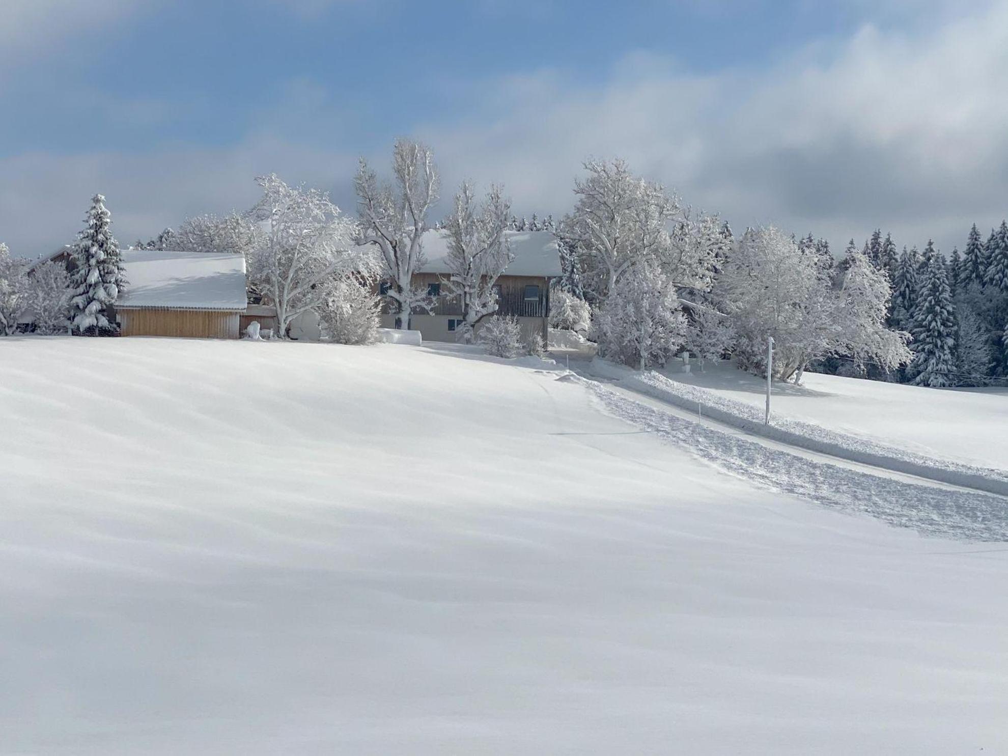 Trollenhof Im Allgaeu - Ferienwohnungen Saeuling Ruckholz ภายนอก รูปภาพ