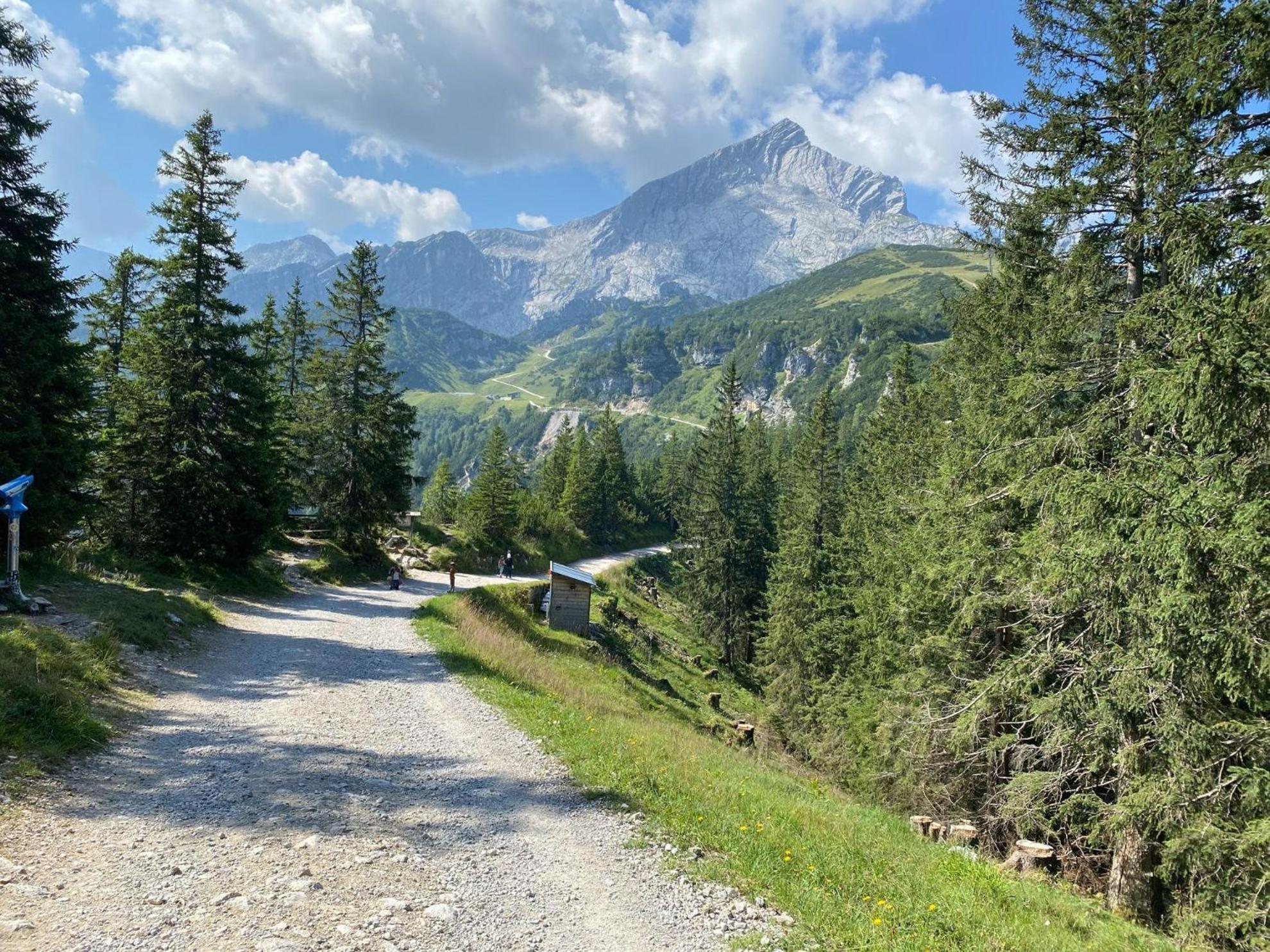 Trollenhof Im Allgaeu - Ferienwohnungen Saeuling Ruckholz ภายนอก รูปภาพ